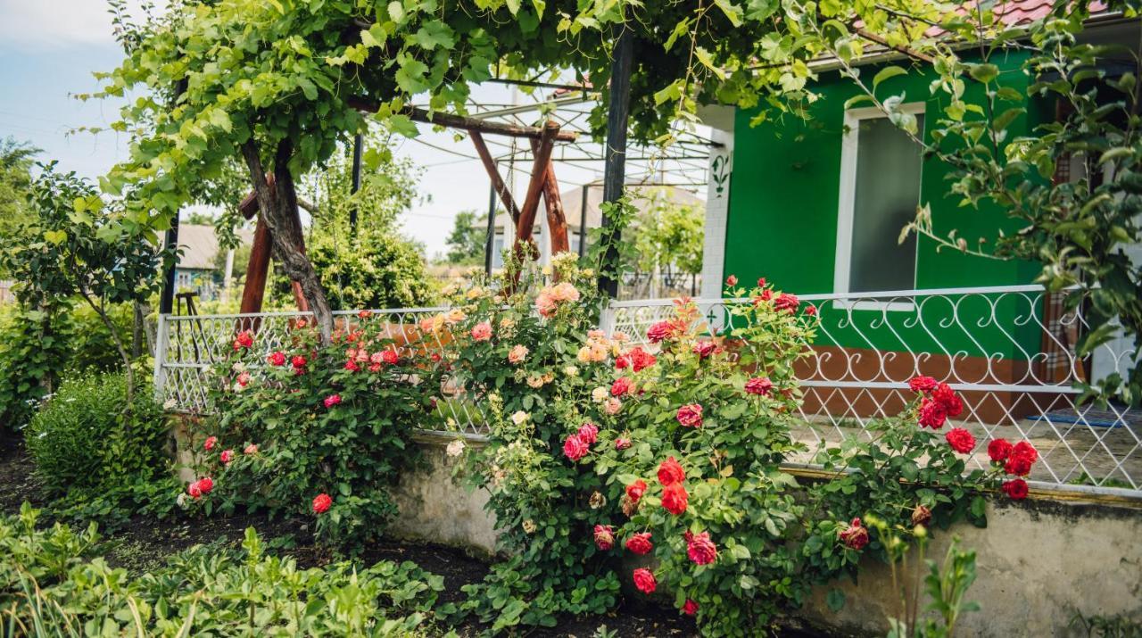 Căsuţa de lângă Lac Saharna Noua Exterior foto