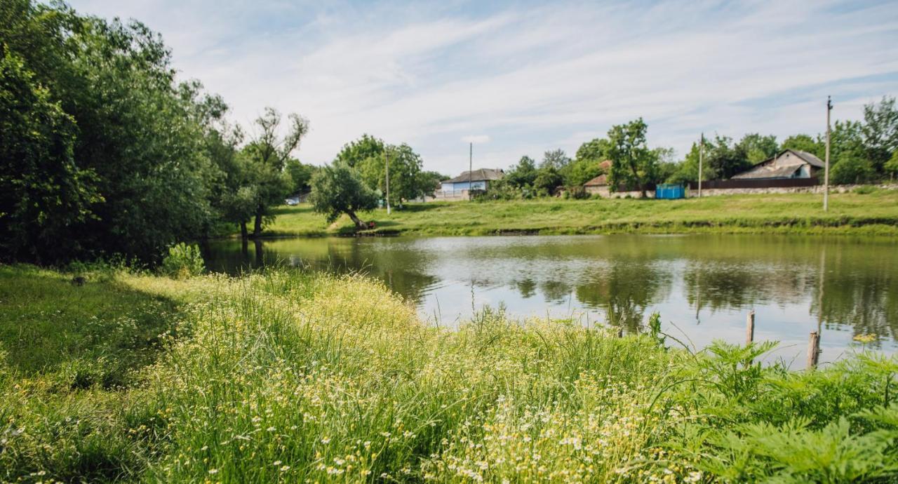 Căsuţa de lângă Lac Saharna Noua Exterior foto