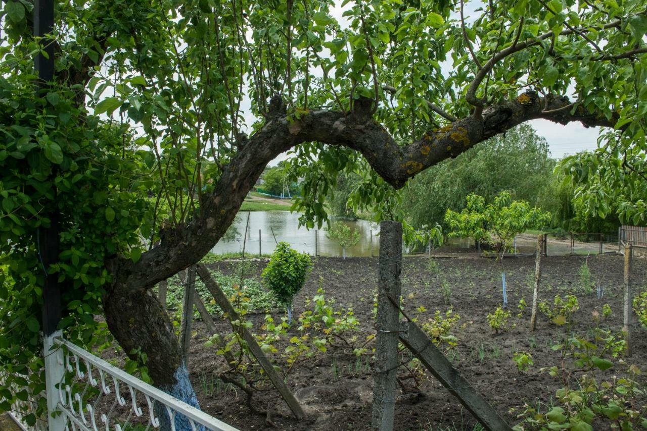 Căsuţa de lângă Lac Saharna Noua Exterior foto