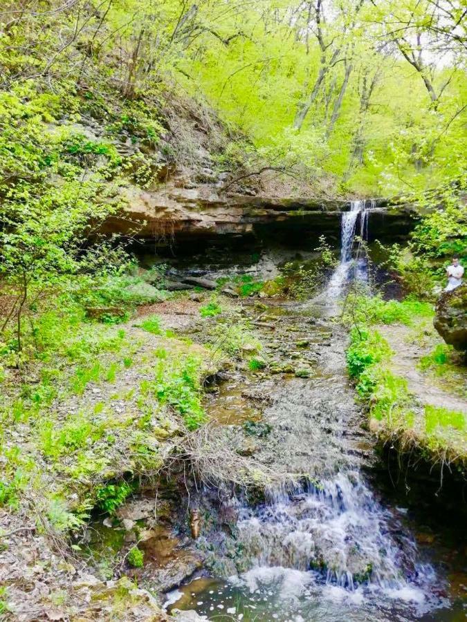 Căsuţa de lângă Lac Saharna Noua Exterior foto